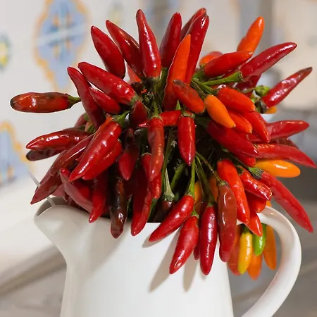 Relais Del Corso Отель типа 