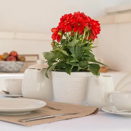 Relais Del Corso * Мартина-Франка